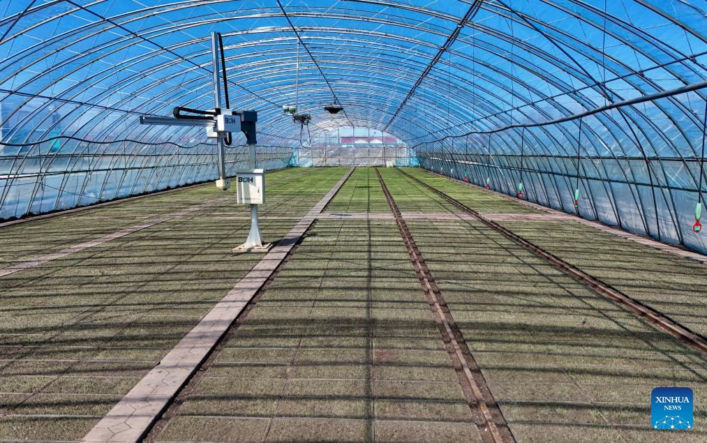Interior shade screen system installed inside a greenhouse tunnel